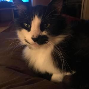 Meet your Posher, Joanne